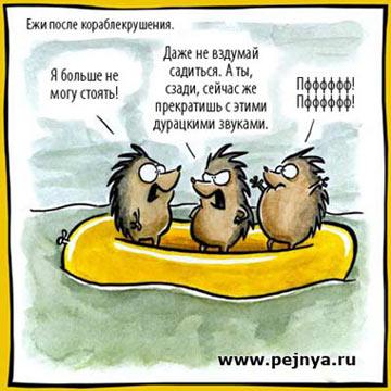 Прикрепленное изображение: Ежики.jpg